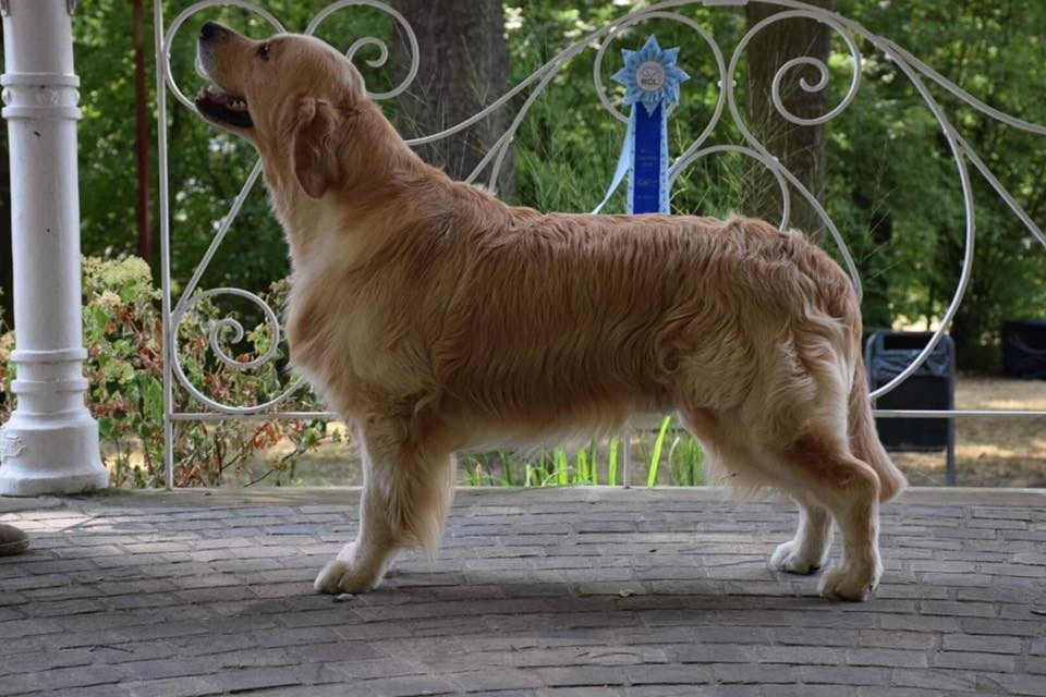 CH. Jch luc skywalker du Clos des Facons - 2eme RCACL