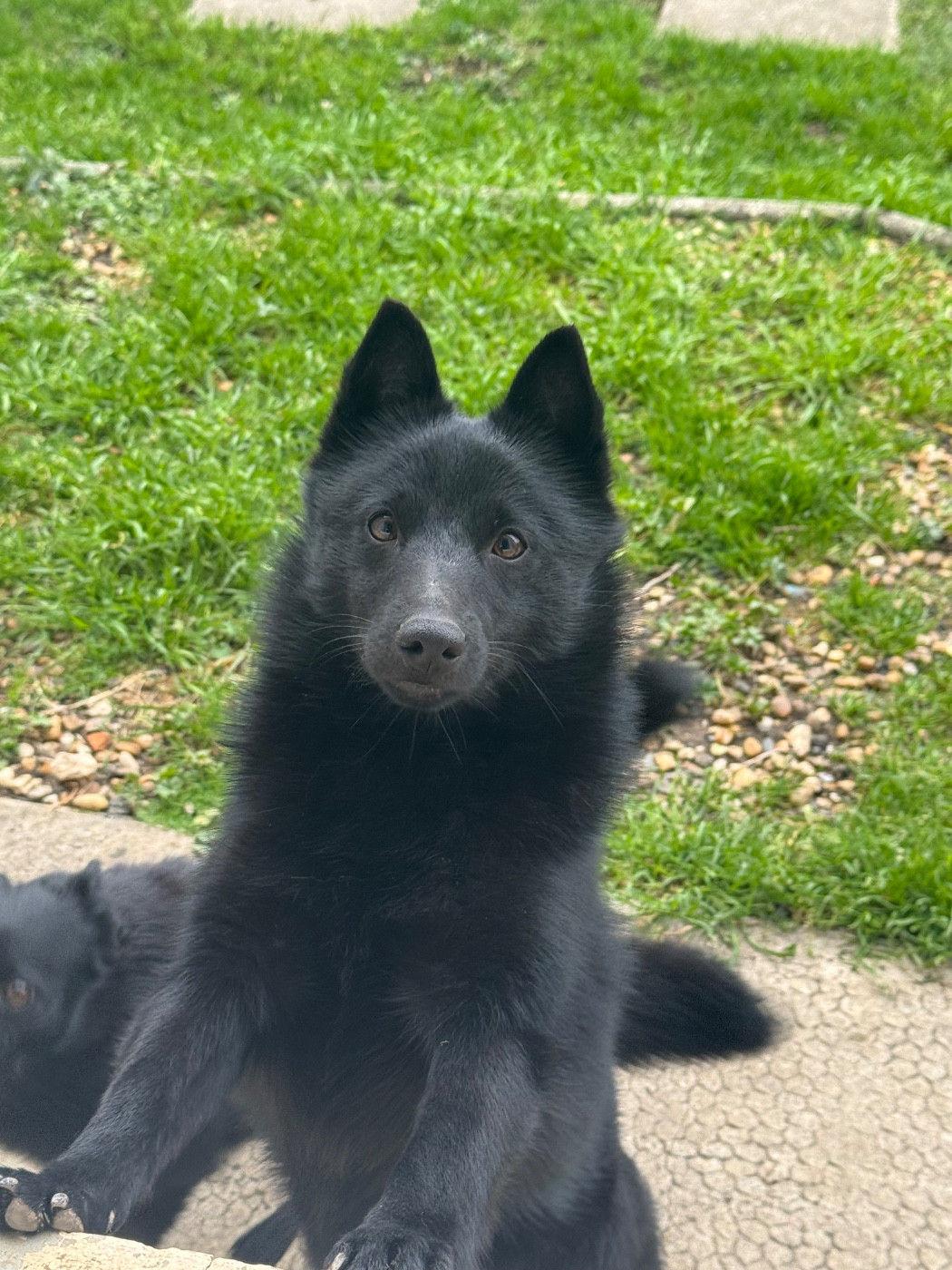 Valmont du Mas de Valaurine