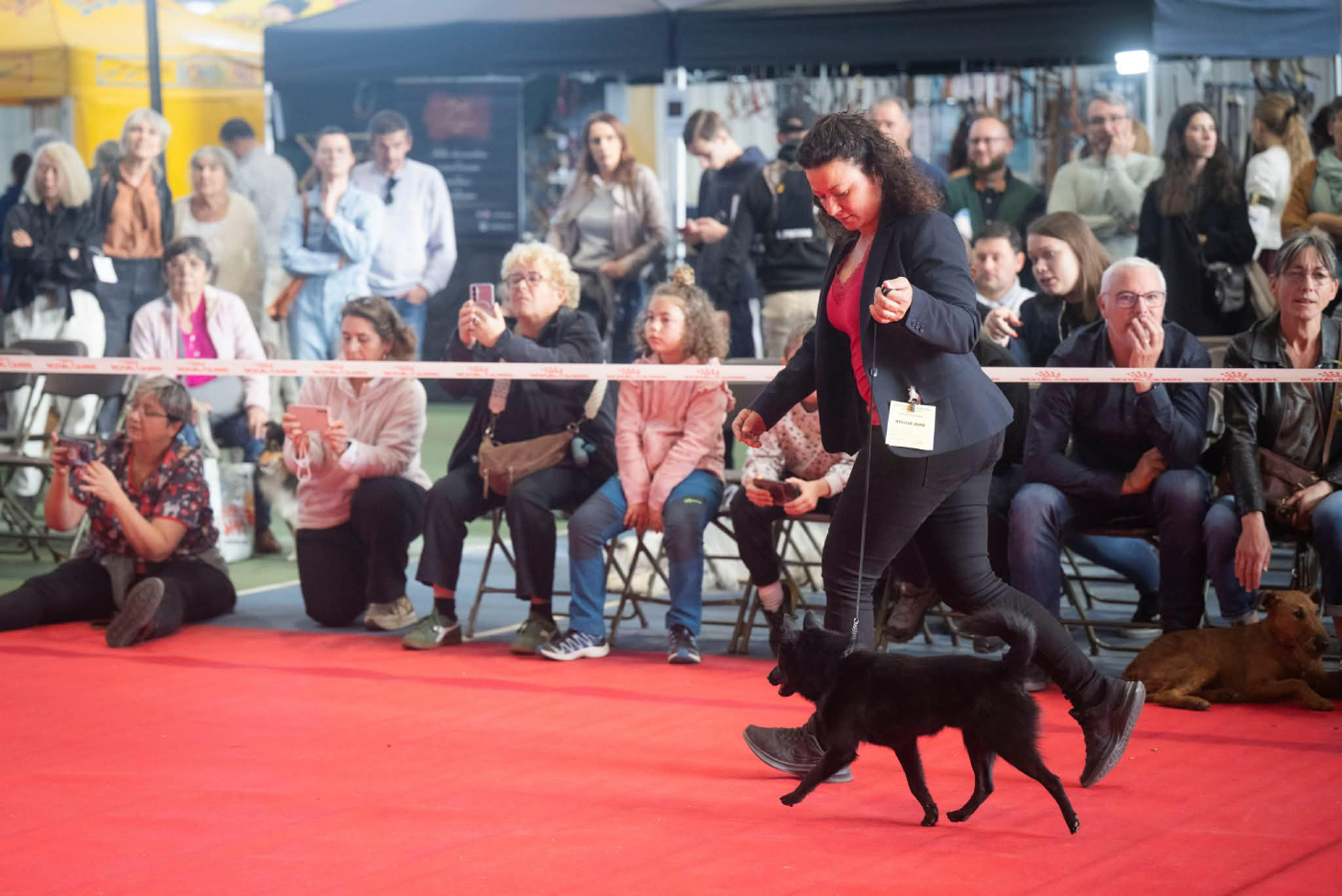 Valmont du Mas de Valaurine