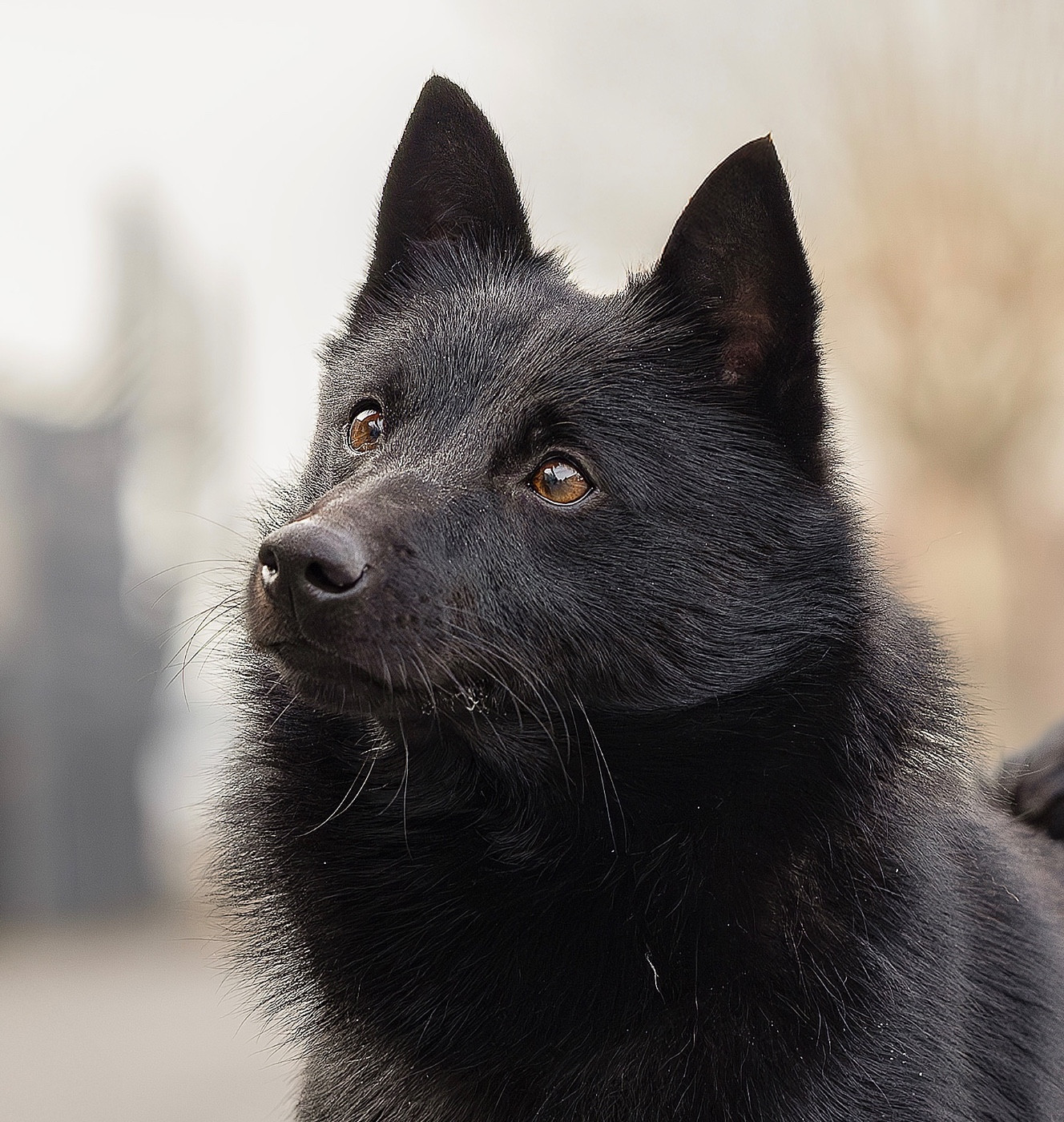 Valmont du Mas de Valaurine