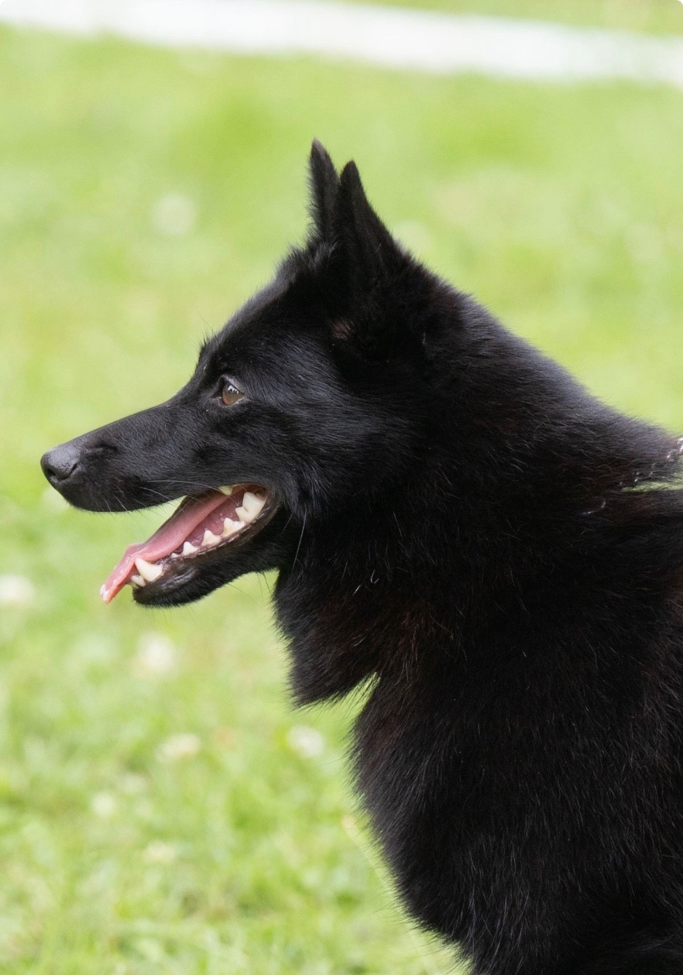 Signature du Mas de Valaurine