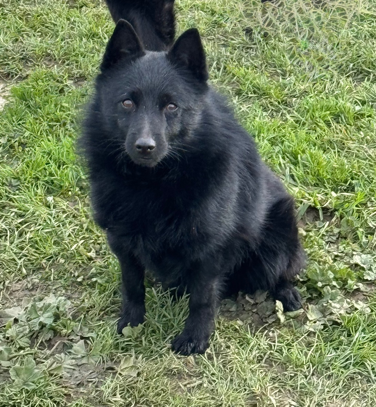 Publication : du Mas de Valaurine