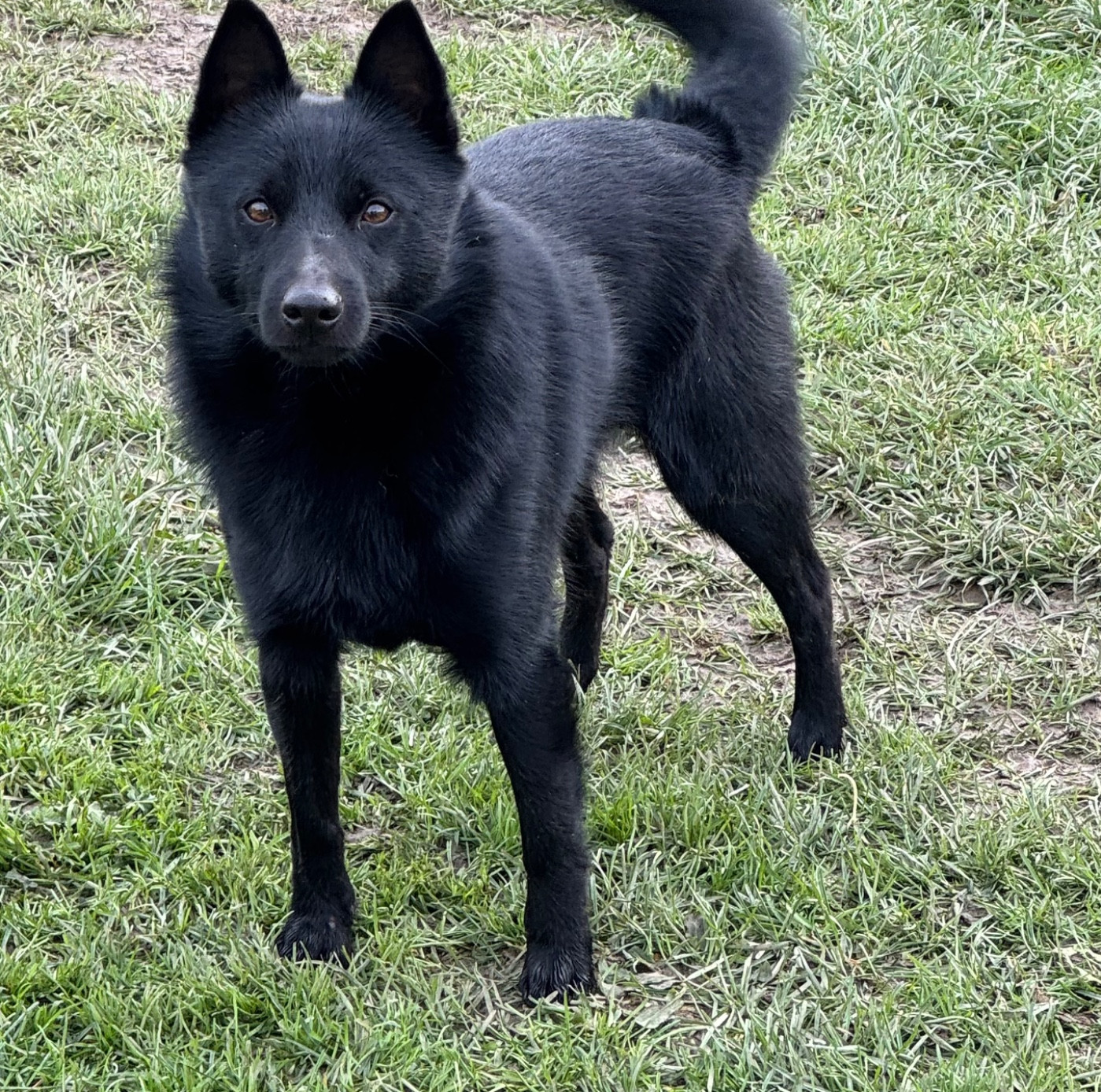 Valmont du Mas de Valaurine