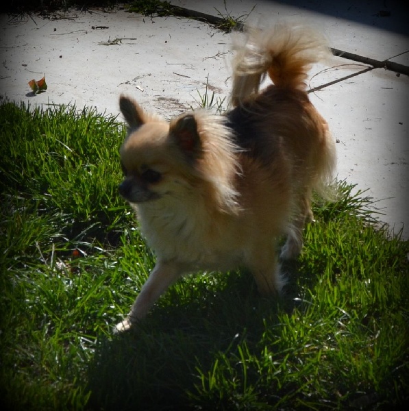 Publication : du Domaine des Marineros Auteur : Isabelle Marinier