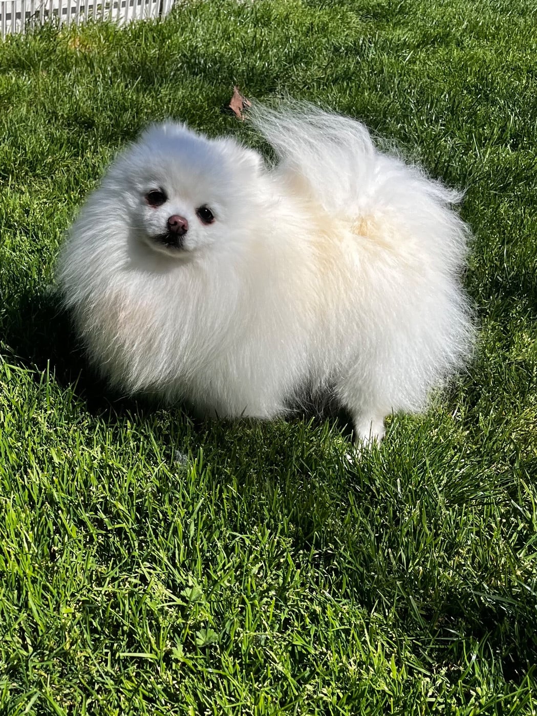 Publication : du Domaine des Marineros Auteur : ISABELLE MOREL