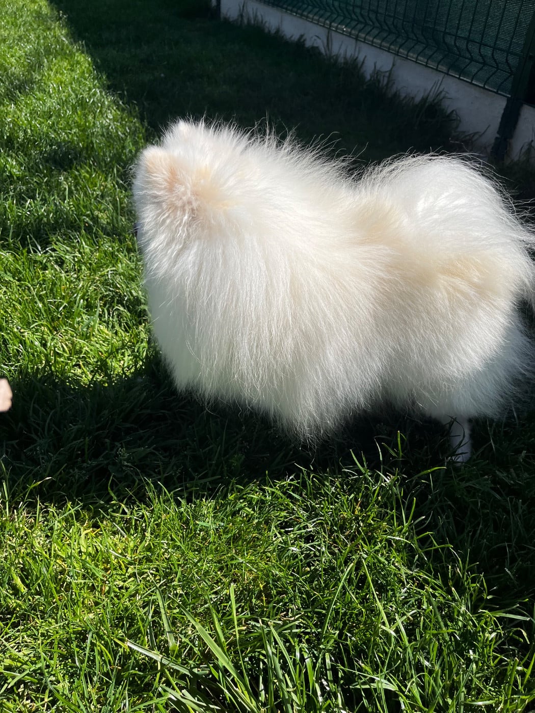 Publication : du Domaine des Marineros Auteur : ISABELLE MOREL