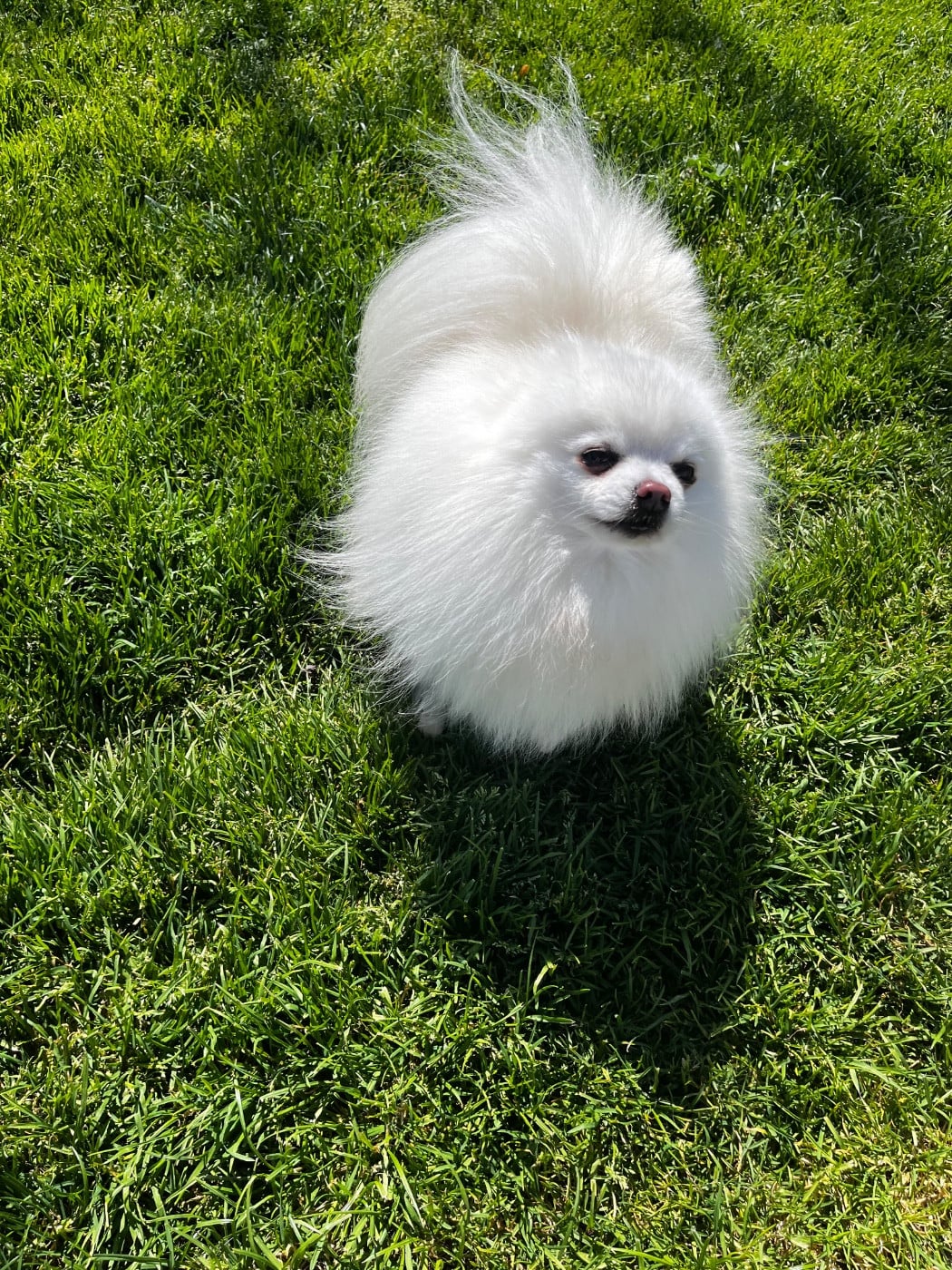 Publication : du Domaine des Marineros Auteur : ISABELLE MOREL