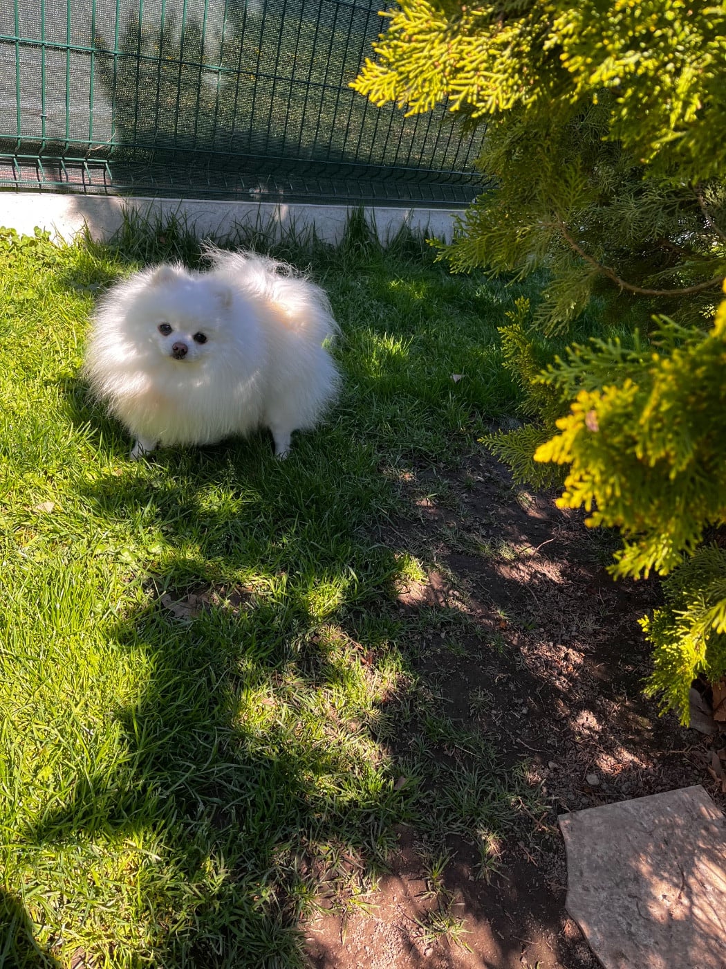 Publication : du Domaine des Marineros Auteur : ISABELLE MOREL