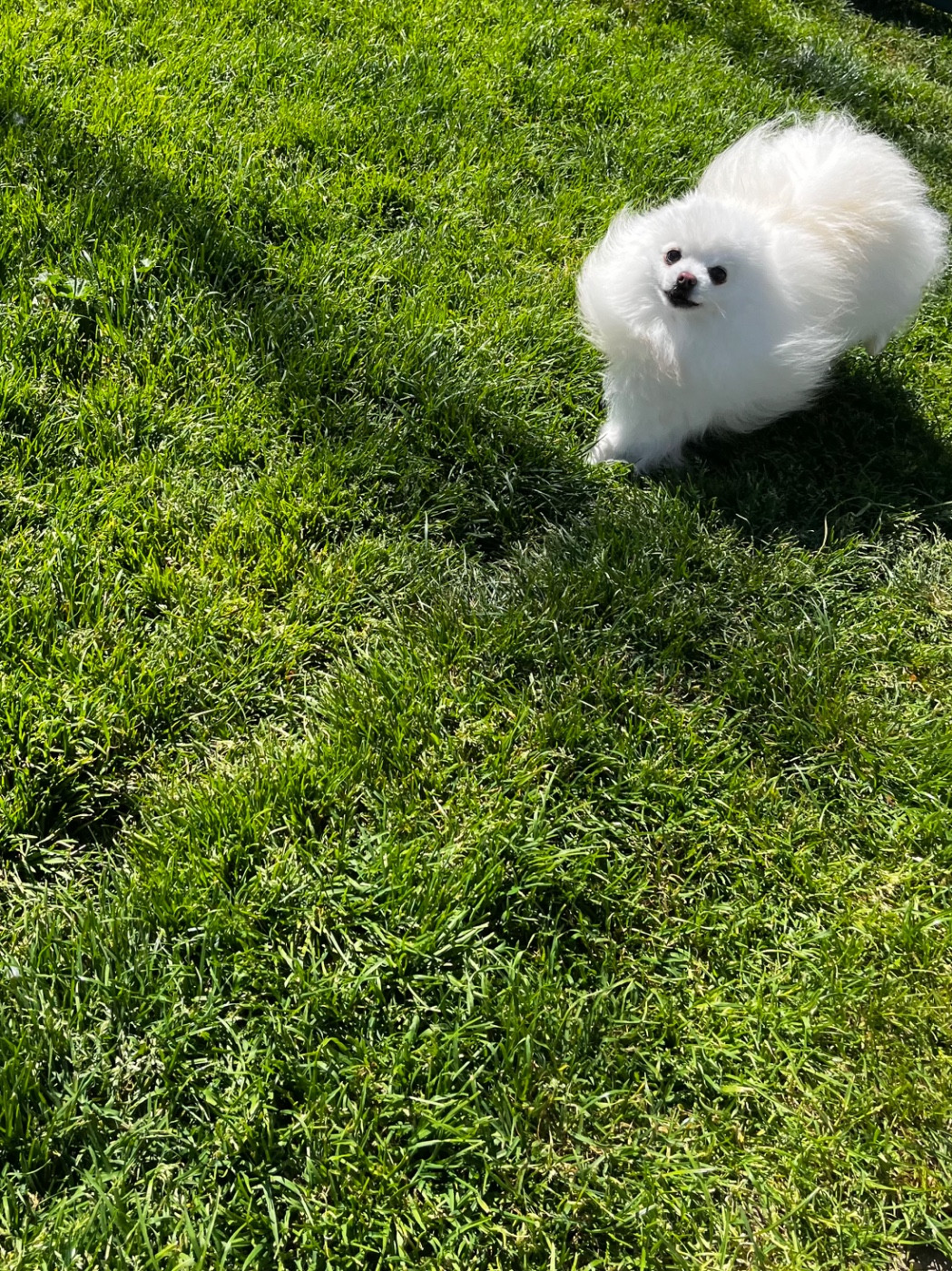 Publication : du Domaine des Marineros Auteur : ISABELLE MOREL