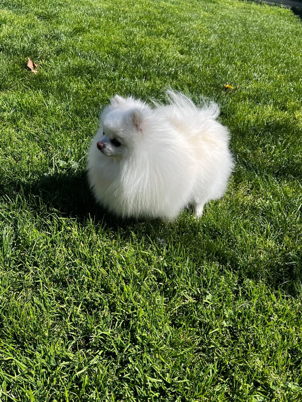 Publication : du Domaine des Marineros Auteur : ISABELLE MOREL