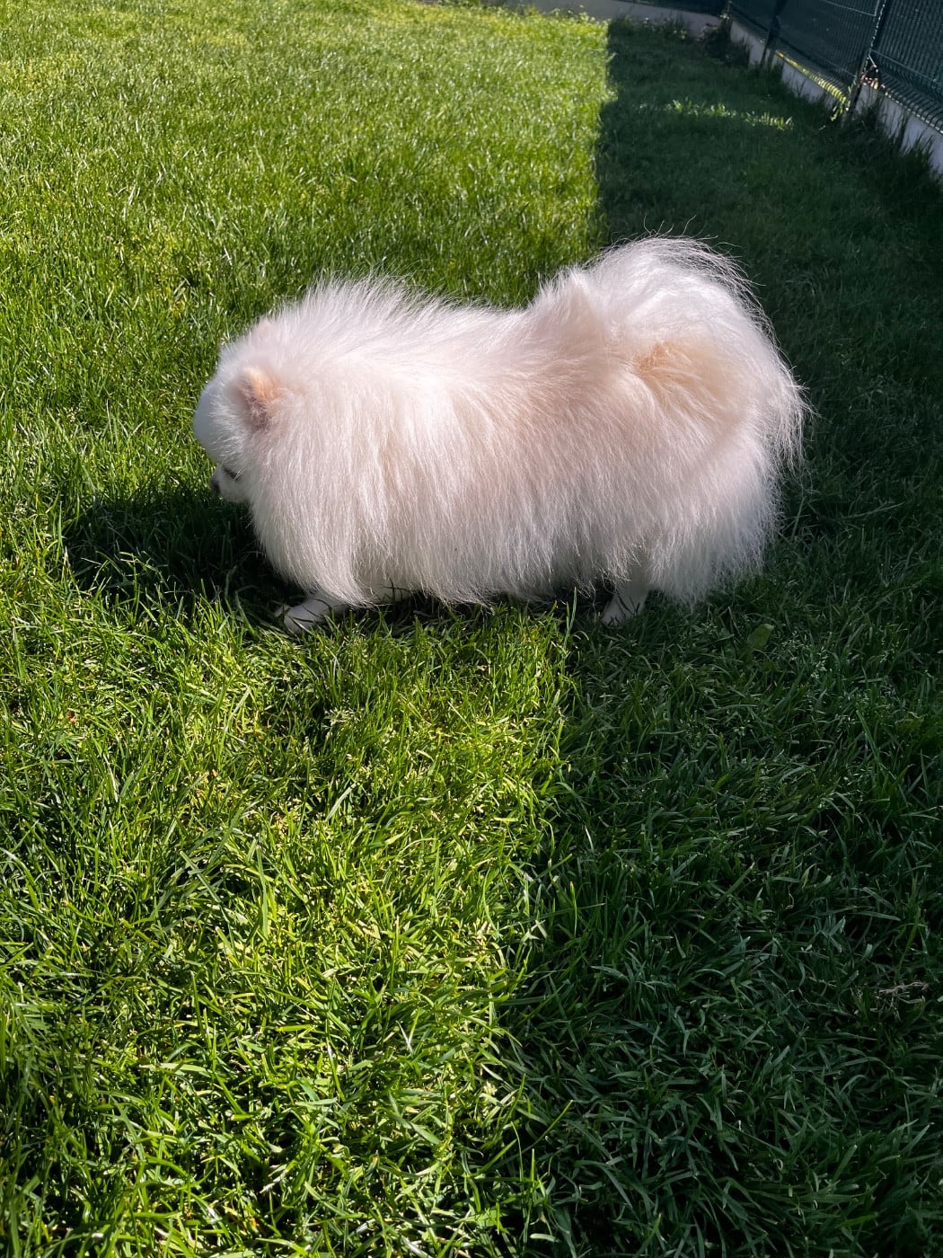 Publication : du Domaine des Marineros Auteur : ISABELLE MOREL