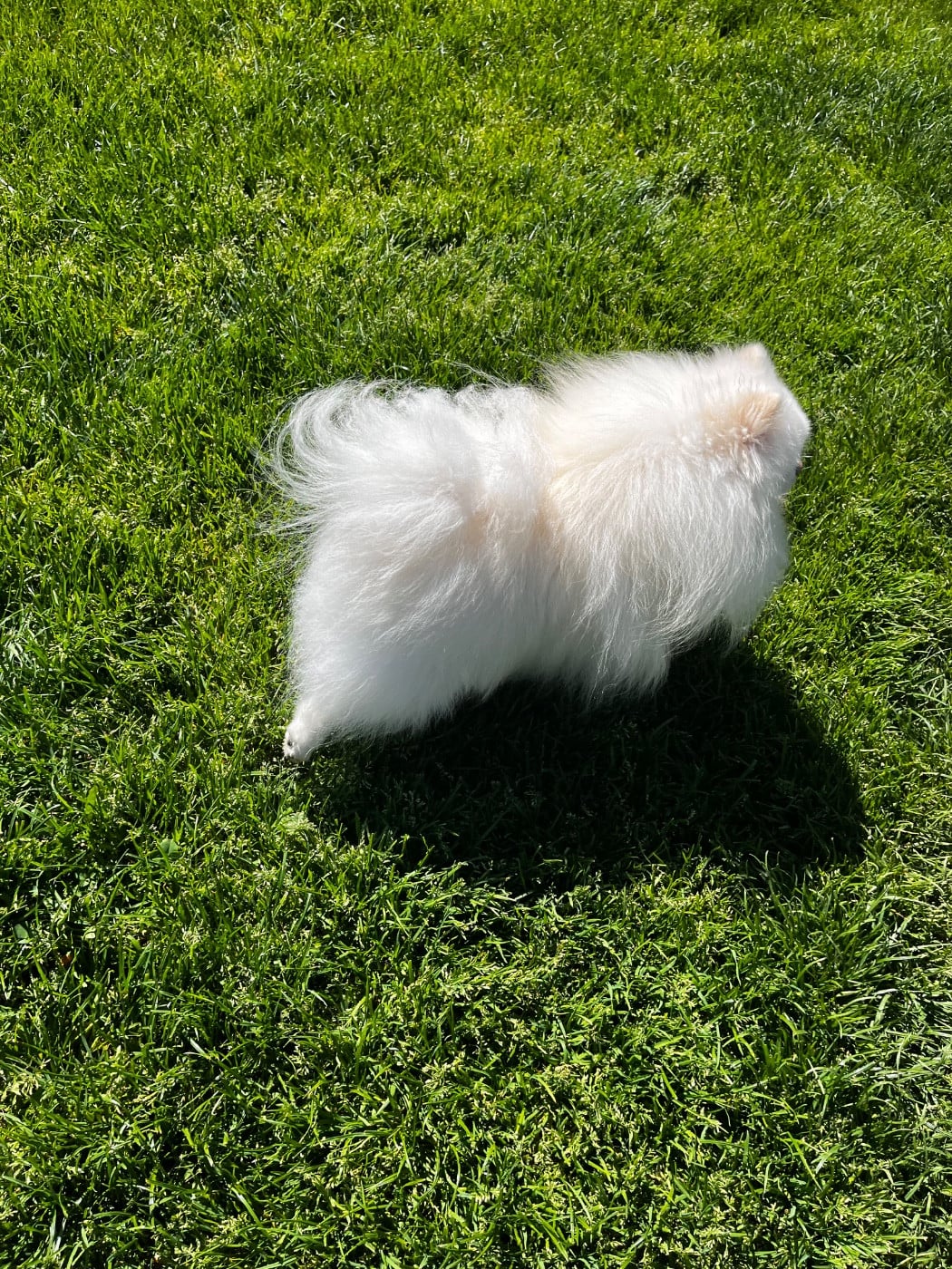 Publication : du Domaine des Marineros Auteur : ISABELLE MOREL