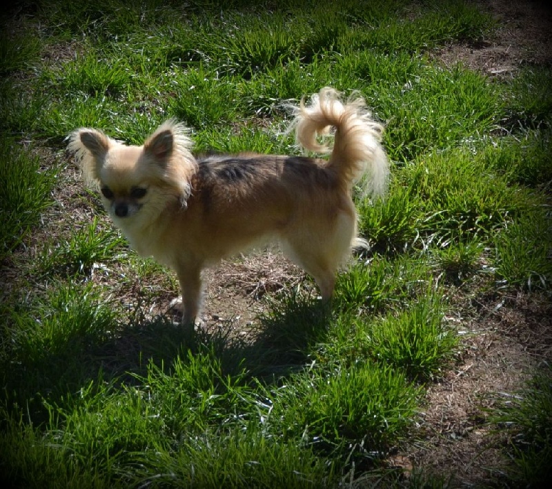 Publication : du Domaine des Marineros Auteur : Isabelle Marinier