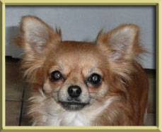 Publication : Mugglady Auteur : Domaine des Marinéros