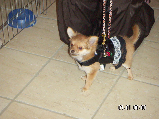 Publication : Mugglady Auteur : Domaine des Marinéros