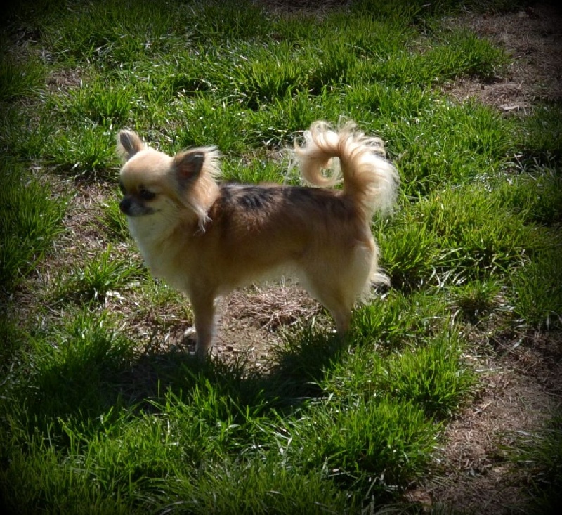 Publication : du Domaine des Marineros Auteur : Isabelle Marinier