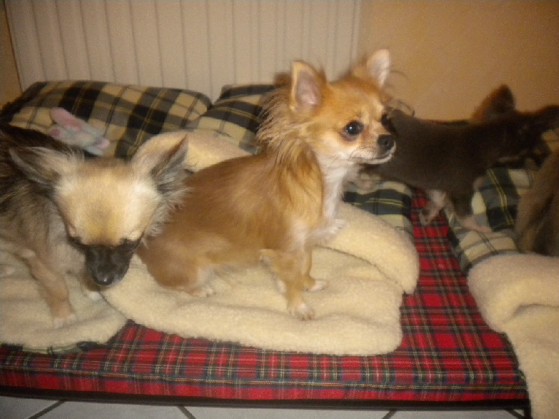 Publication : du Domaine San Sébastian Auteur : Domaine Des Marinéros