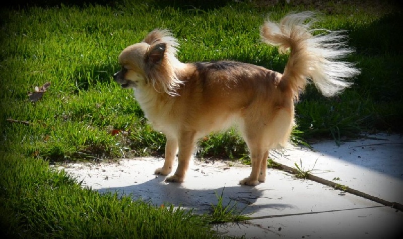 Publication : du Domaine des Marineros Auteur : Isabelle Marinier