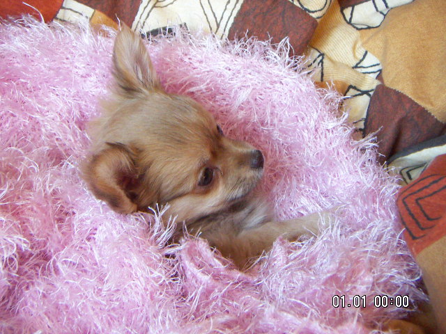 Publication : Mugglady Auteur : Domaine des Marinéros