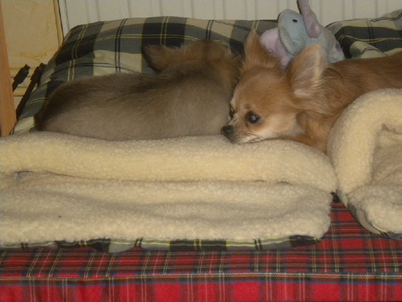 Publication : du Domaine San Sébastian Auteur : Domaine Des Marinéros