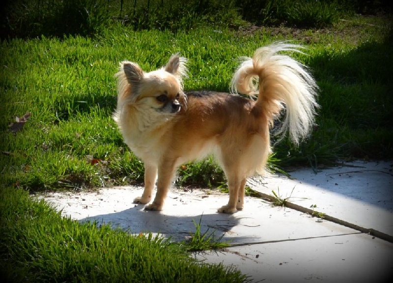 Publication : du Domaine des Marineros Auteur : Isabelle Marinier