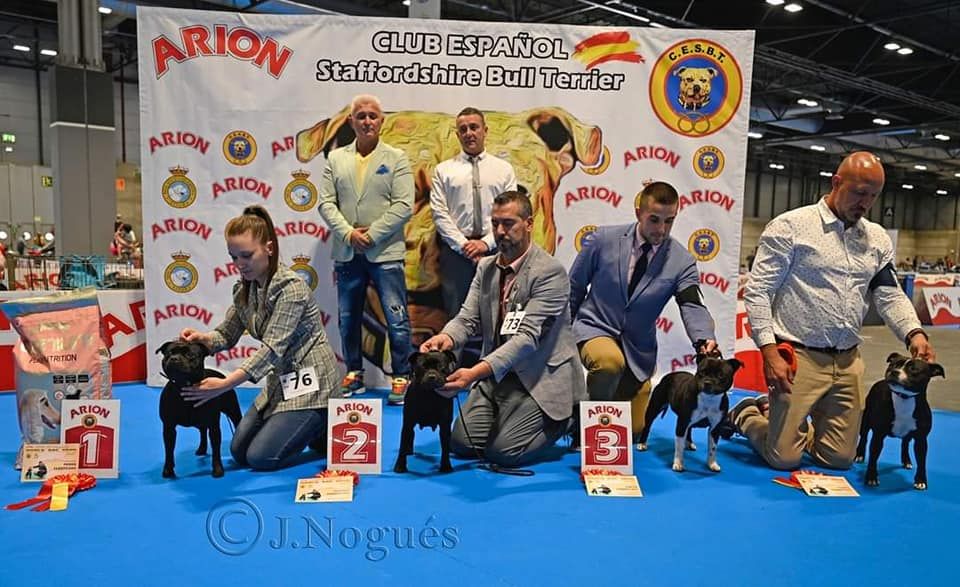 Rivals are way too slow du clan ' Molotov - 4eme Excellente