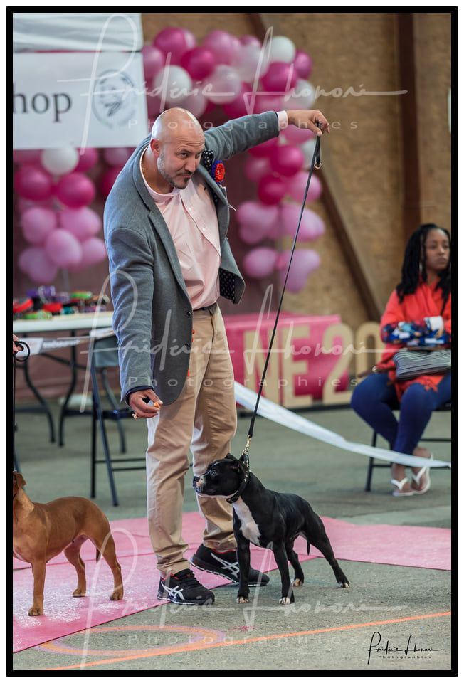 Rivals are way too slow du clan ' Molotov - Excellent NC