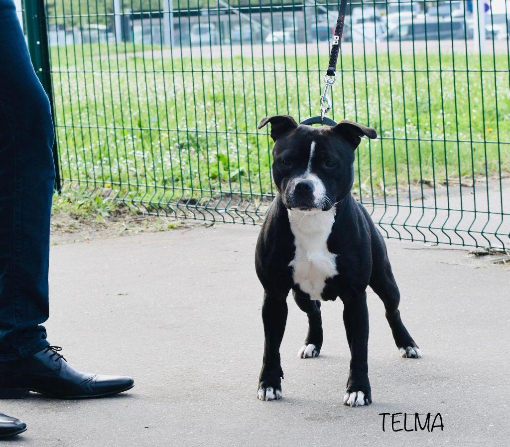 Rivals are way too slow du clan ' Molotov - 3em Excellente