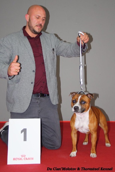 Linka cherry queen du clan ' Molotov - 1ere Excellente