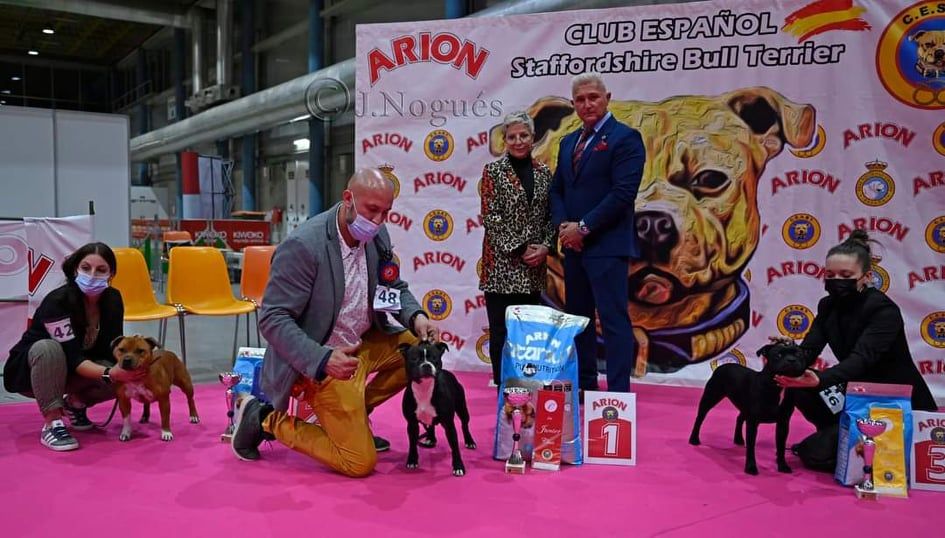 Rivals are way too slow du clan ' Molotov - 1er Excellente Mandatory Point