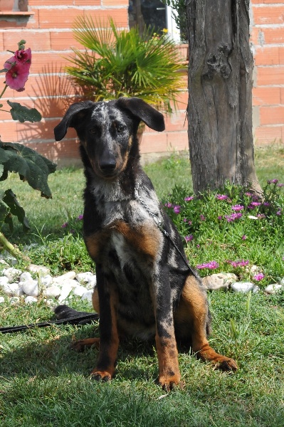 Publication : du berceau de bfamily Auteur : j.Avelin