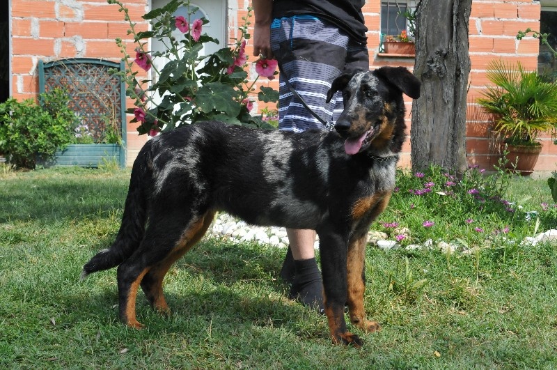 Publication : du berceau de bfamily Auteur : j.Avelin