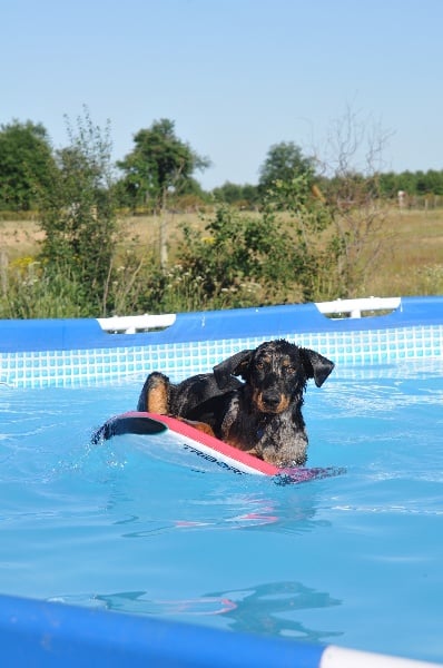 Publication : du berceau de bfamily Auteur : j.Avelin