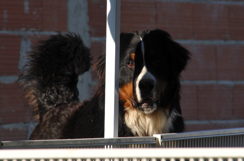 Publication : du berceau de bfamily