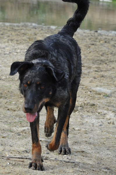 Publication : du berceau de bfamily Auteur : j.Avelin