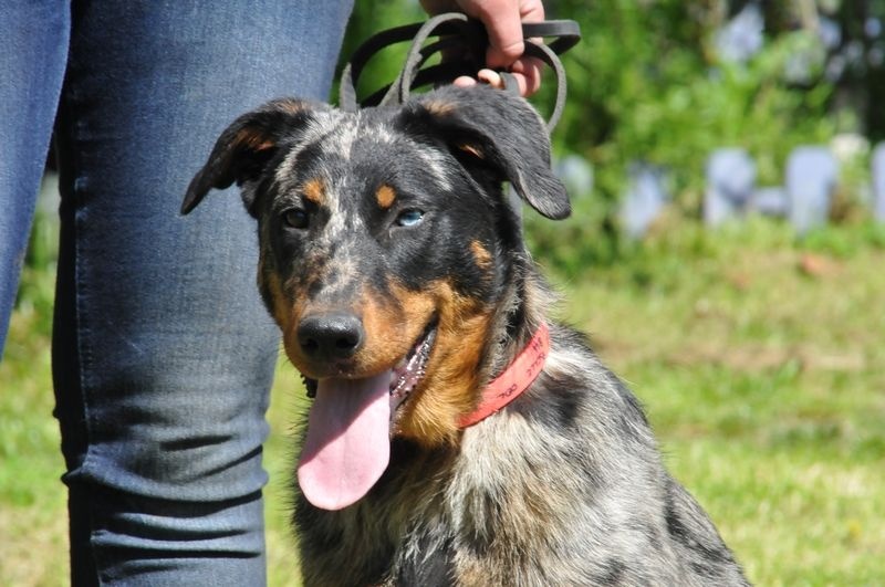 Publication : du berceau de bfamily