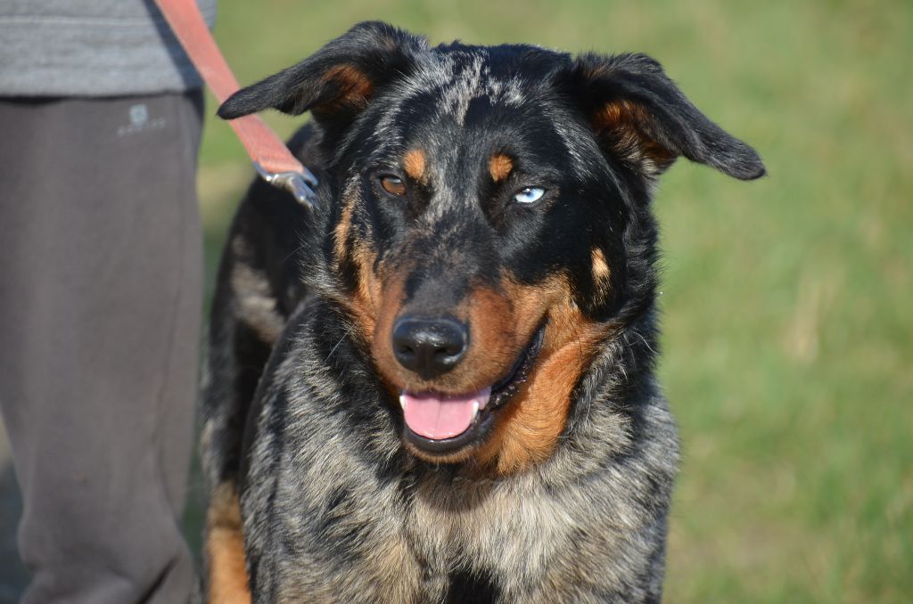 Publication : du berceau de bfamily