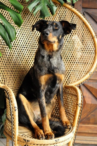 Publication : du berceau de bfamily Auteur : j.Avelin