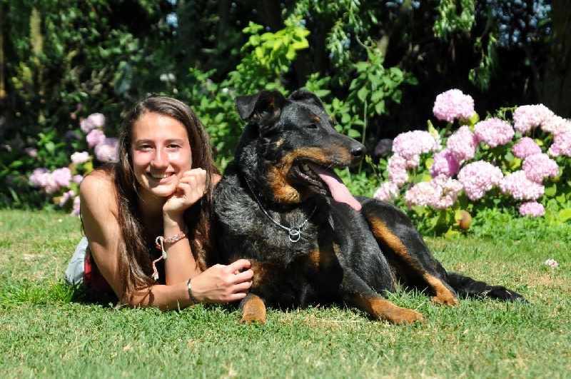 Publication : du berceau de bfamily Auteur : j.Avelin