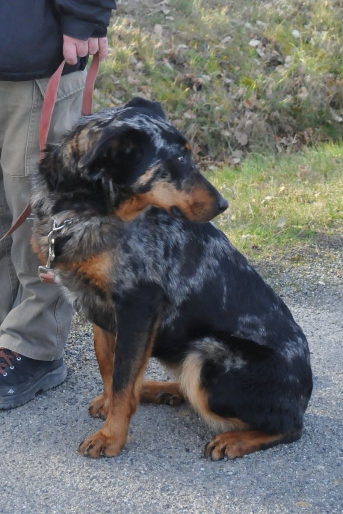 Publication : du berceau de bfamily