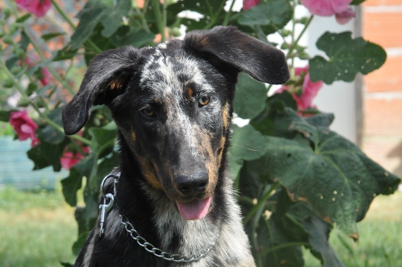 Publication : du berceau de bfamily Auteur : j.Avelin