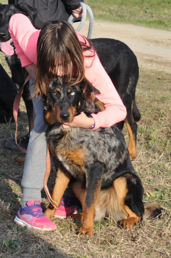 Publication : du berceau de bfamily