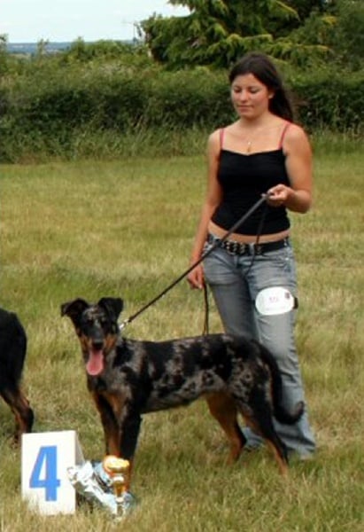 Publication : du berceau de bfamily Auteur : j.Avelin