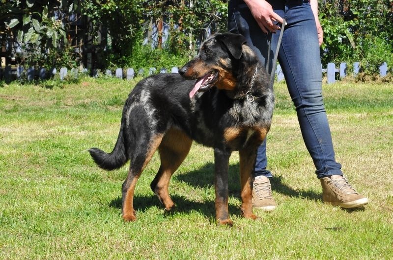 Publication : du berceau de bfamily Auteur : j.Avelin