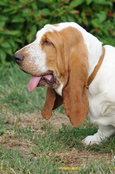 Publication : du berceau de bfamily Auteur : j.avelin