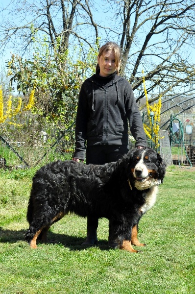 Gariguette ramène sa fraise du berceau de bfamily