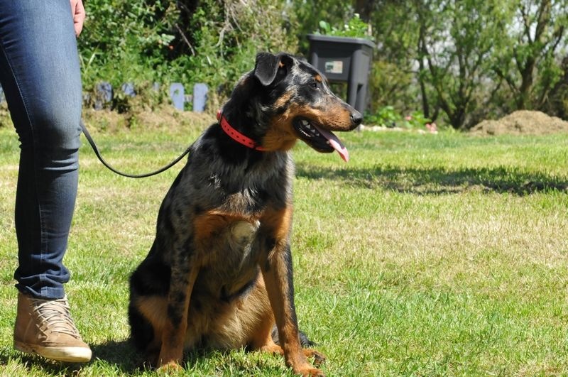 Publication : du berceau de bfamily