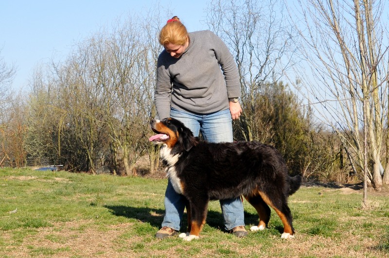 Publication : du berceau de bfamily