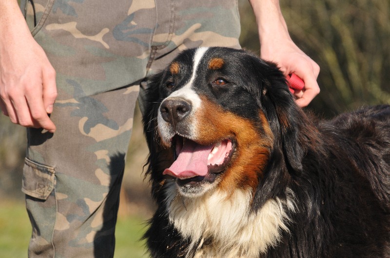 Publication : du berceau de bfamily