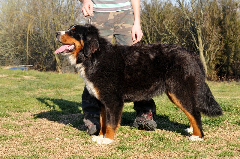 Publication : du berceau de bfamily